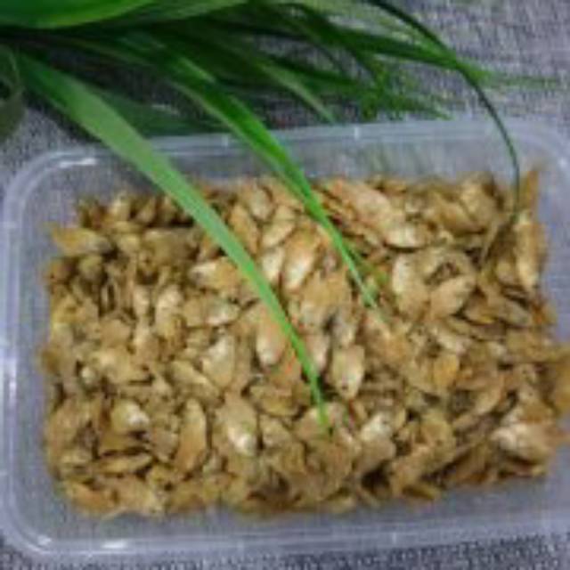 

Baby Fish Per 225 gr