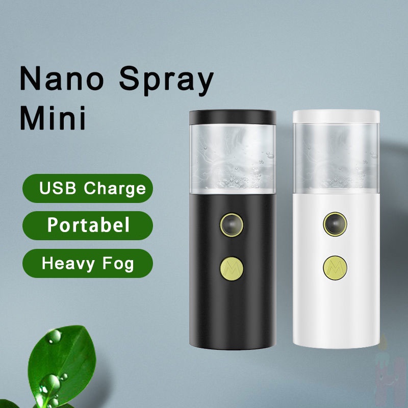 Nano Spray Wajah Portable Mini USB Mist Sprayer Pelembab Wajah Perawatan Humidifier Cute Pet Handheld USB Water Replenishment Instrument