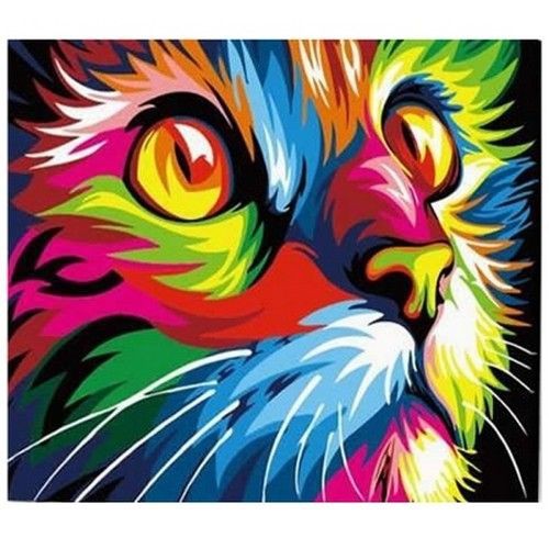 Wow 30 Background Cat Warna Warni Gambar Kitan Wow 30 Background Cat Warna Warni Gambar Kitan