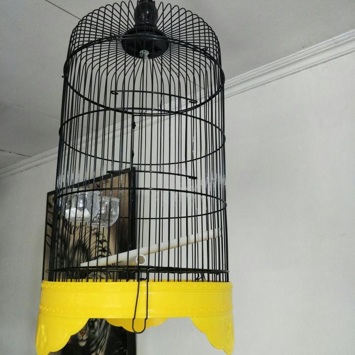 Lianp | Sangkar Pleci/Kandang Pleci/Sangkar Kolibri/Kandang Burung Kecil Kekinian Terlaris