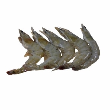 Udang Segar Besar, Sedang, Kecil, 250 gram