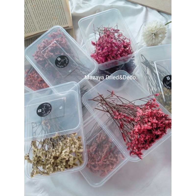 (Box) Dried Limonium/Dried Arcillia Pack