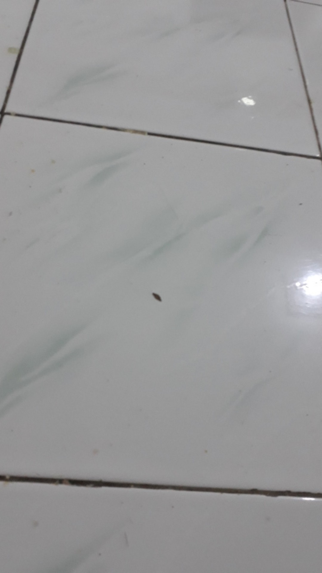 [model Baru] Gamis Maxi Keila/ S-m,l,xl,xxl, Xxxl / Brukat Premium/ Seragam/ Kondangan