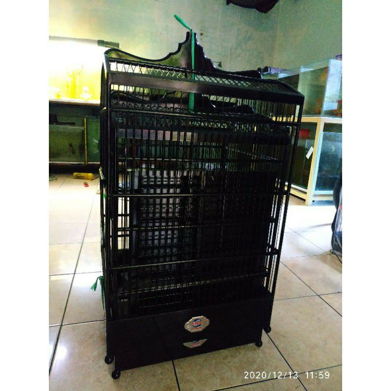 Ebod Jaya Kotak New Emblem Satu Set