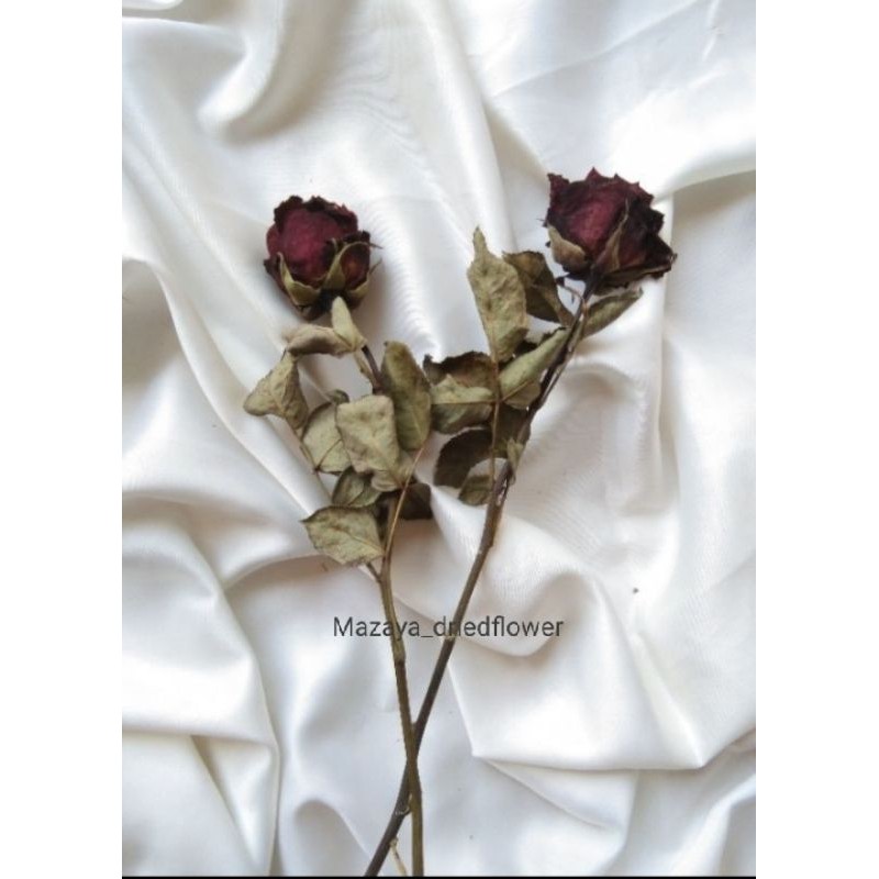 bunga mawar Kering / dried flower rose / bunga kering