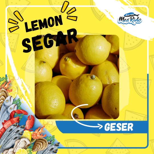 

LEMON / BUAH LEMON / LEMON FRESH / JERUK IMPORT LOKAL KWALITAS SUPER