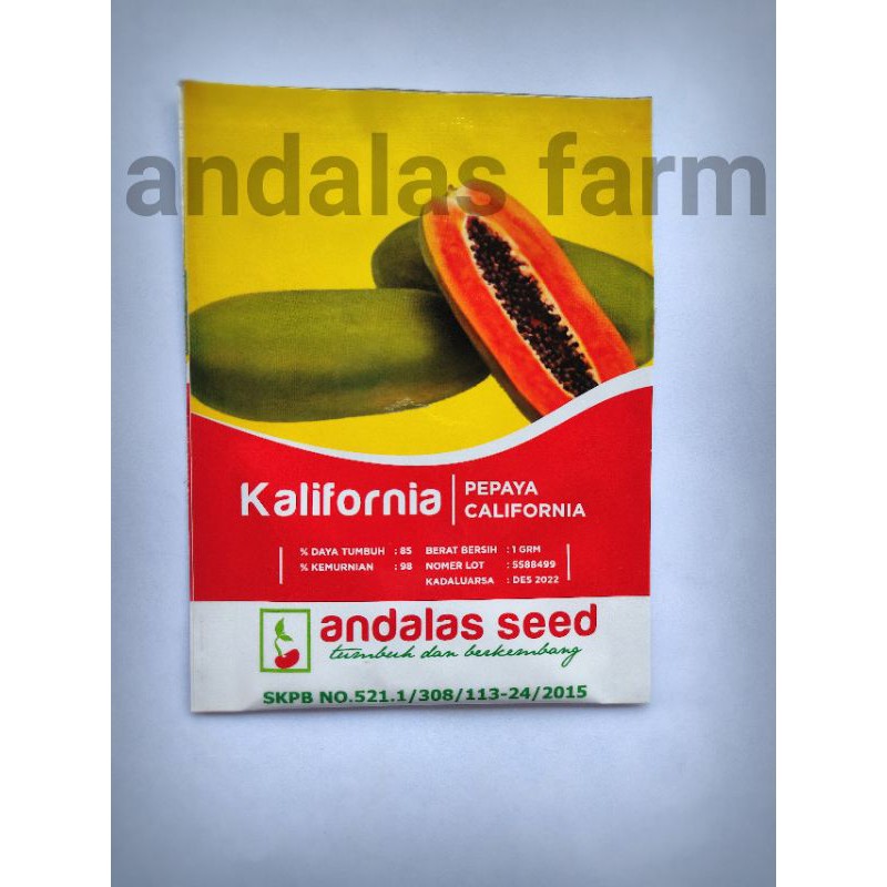 

Kalifornia ( pepaya California)