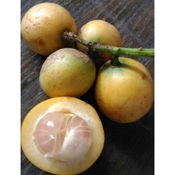 

BUAH MENTENG/MENTENG FRESH 1KG/buah langka fresh