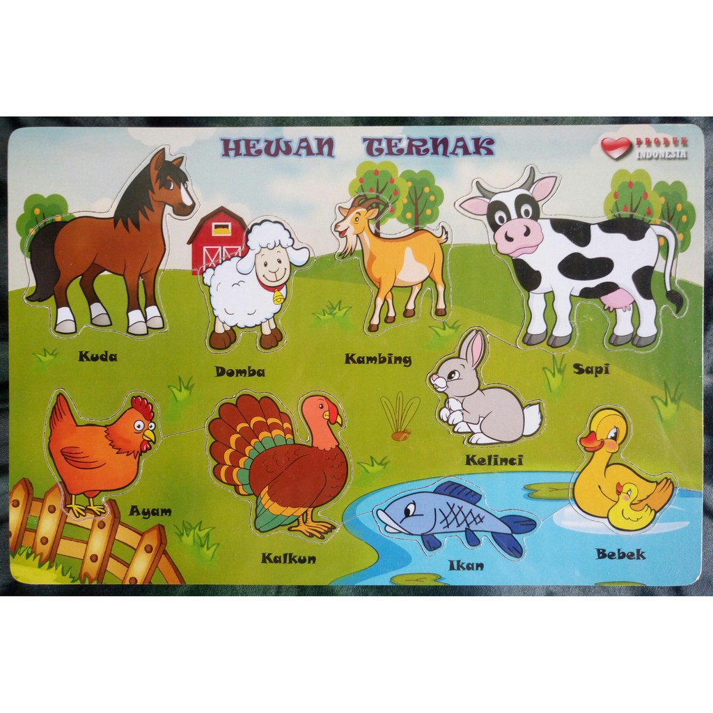 Gambar Kartun Peternakan Ayam - Gambar Kartun