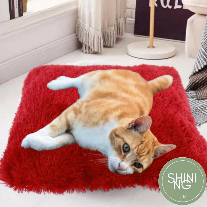 SARUNG BANTAL SAPARUH BULU (BANTAL SOFA BANTAL DUDUK BANTAL KUCING/ANJING)