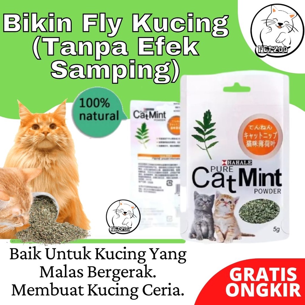 Jual catnip Harga Terbaik - November 2021  Shopee Indonesia