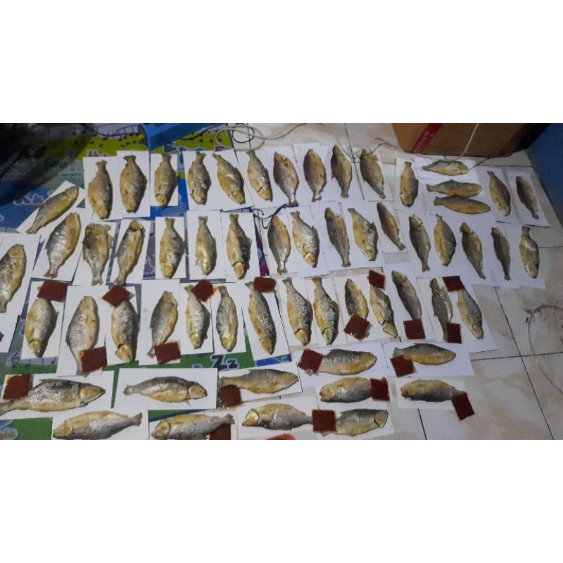 

BANDENG PRESTO MURAH