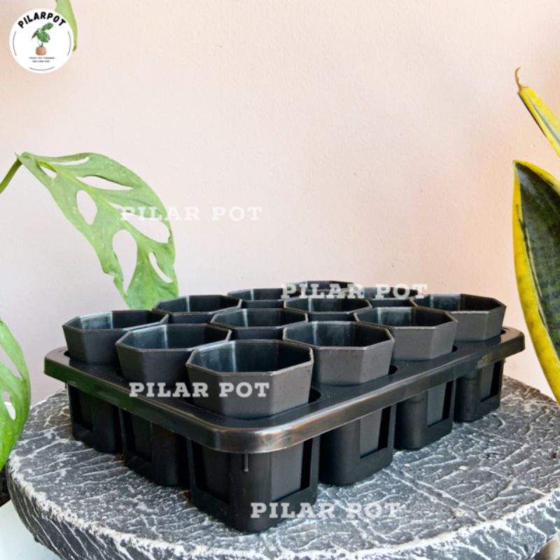 1 set Tray + POT BUNGA NKT PAGODA MINI 5CM HITAM | tray semai bibit