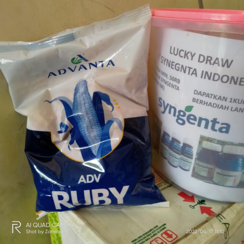 BIBIT JAGUNG ADV RUBY 1KG (ADV ORI 100%)