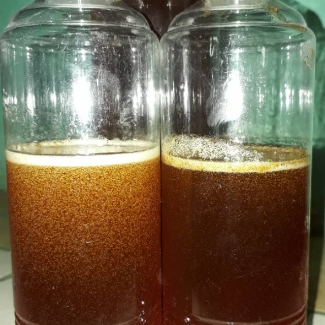 

madu asli
