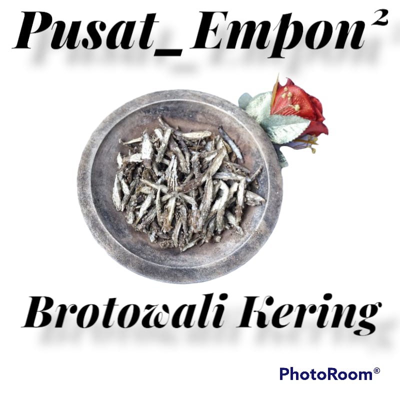 

Bratawali / brotowali kering 200 gram