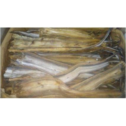 

Ikan Asin MALONG ( 250 Gr )