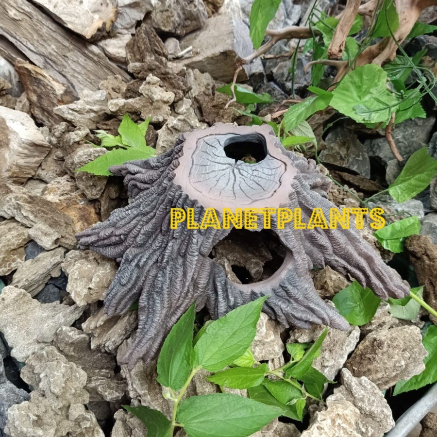 HIASAN HIDING CAVE BASKING POHON RESIN AQUARIUM AQUASCAPE