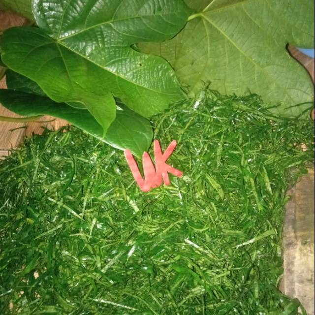 

Daong Pangi Daun Pangie Iris 2 KG