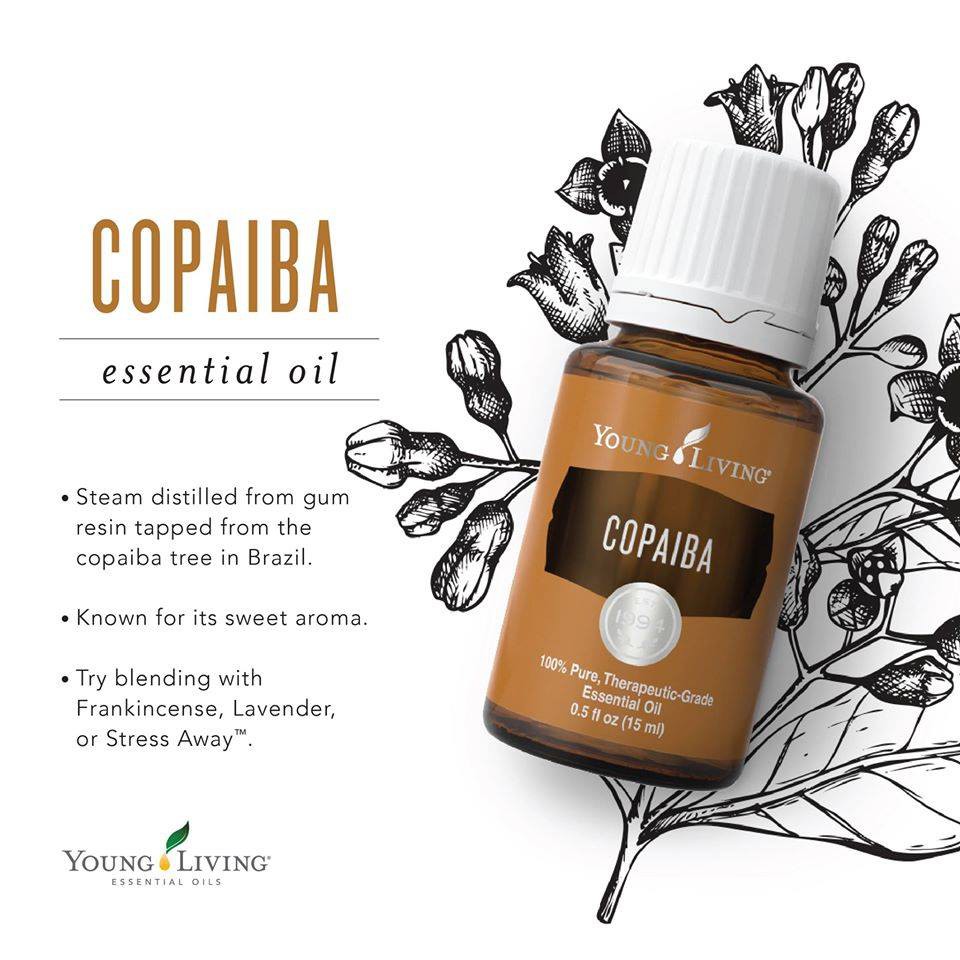 Copaiba YL Essential Oil 5 ML (Ori & Segel)