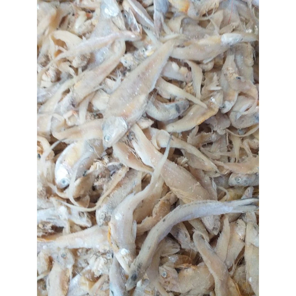 

IKAN ASIN BULU AYAM 1 Kg Depok