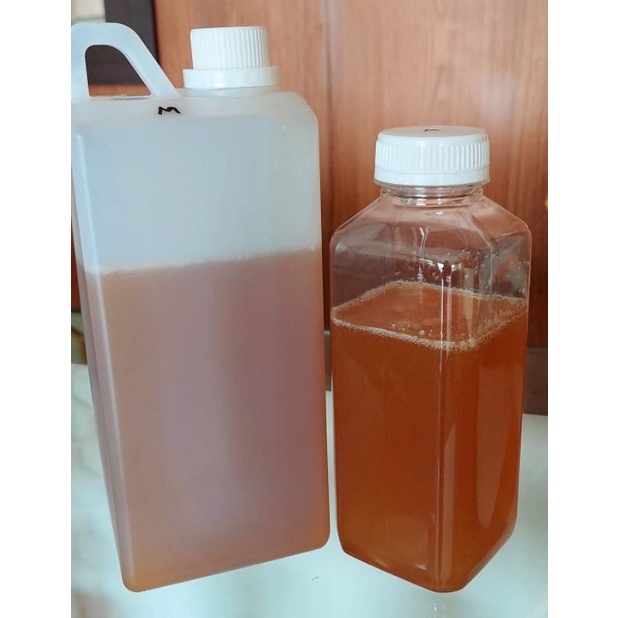 

madu hutan
