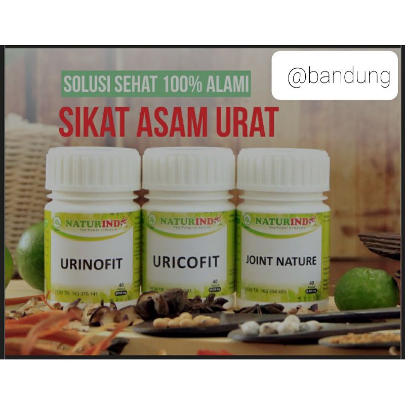 Paket Herbal Asam Urat Naturindo