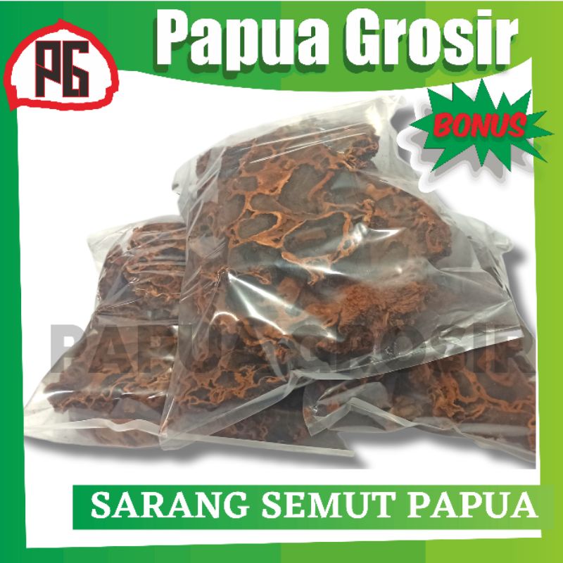 

Sarang Semut Merah Papua Original Termurah