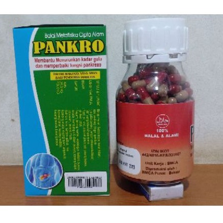 PANKRO HERBAL DIABETES | OBAT DIABETES PANKRO (MC) KECIL 90 Kps