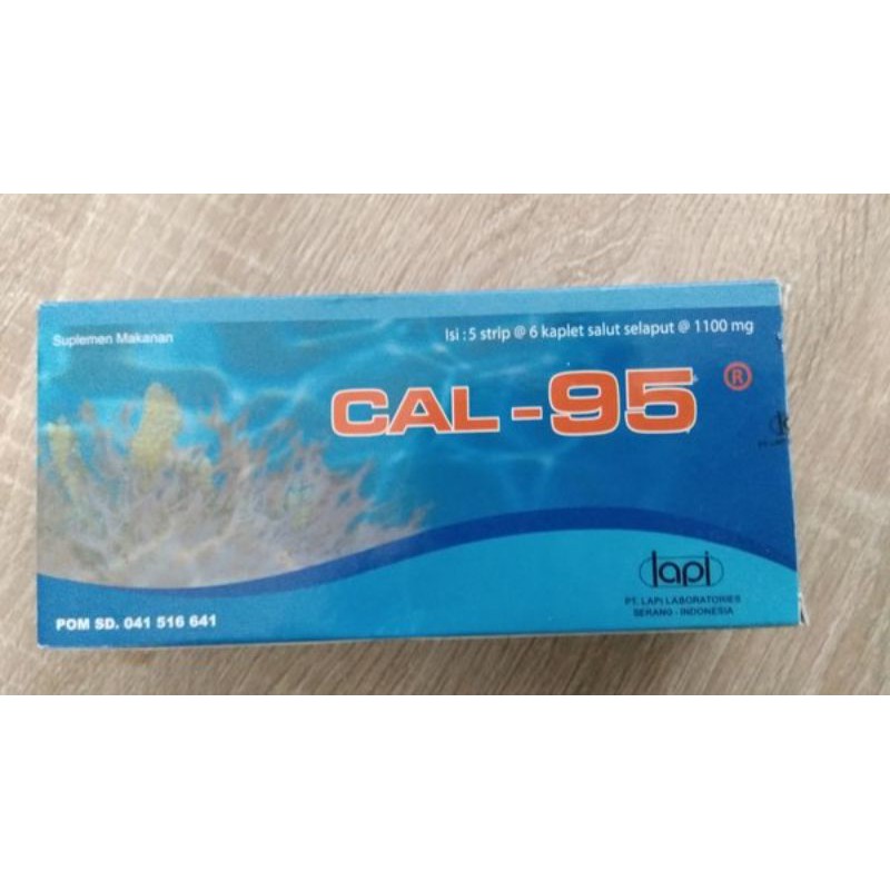 CAL 95