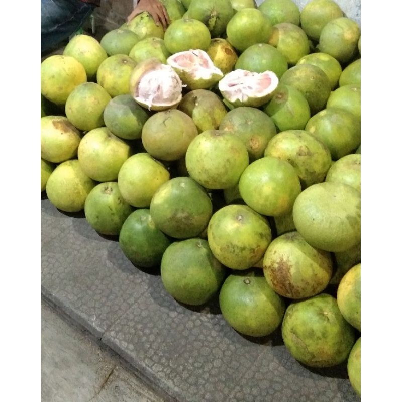 

jeruk bali segar