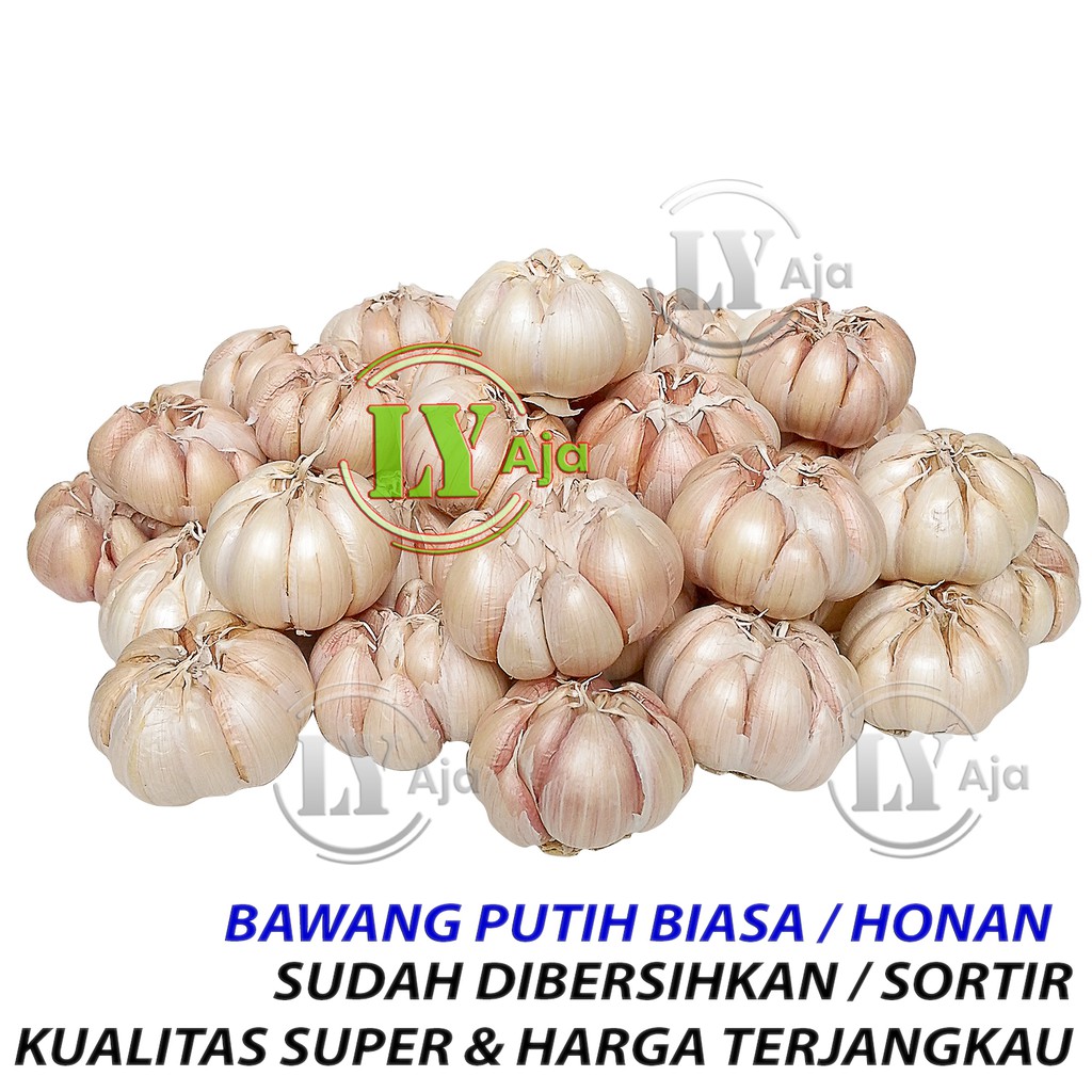 Bawang Putih Biasa Honan 500 Gram BERSIH dan KOTOR Kualitas Super LY Aja 500 Gr