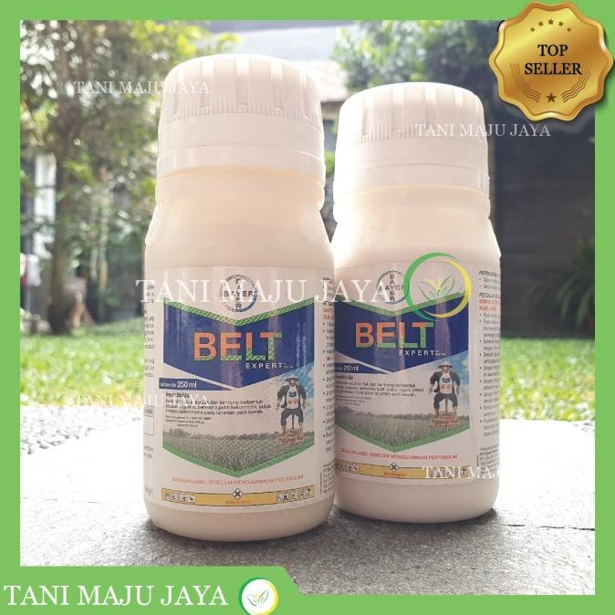 Insektisida Belt expert 480SC 250 ml