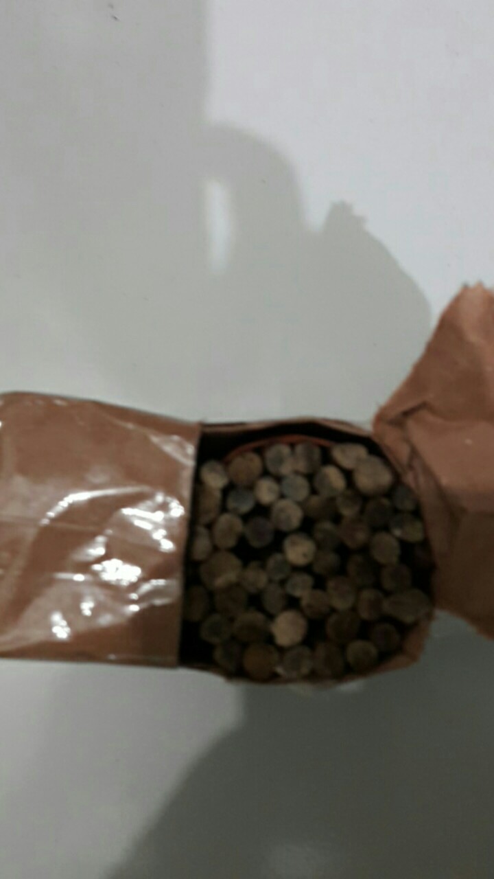 Getah Malau