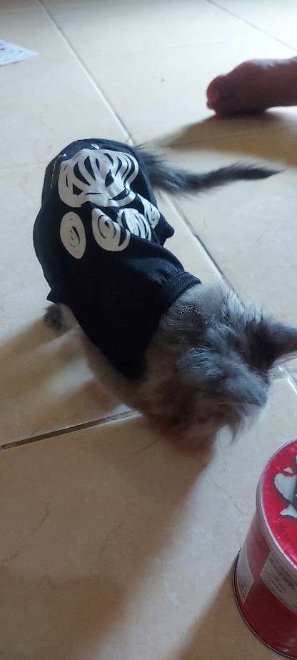 Lbx Kep / Kain Penutup Potong Rambut Anti Air Untuk Salon