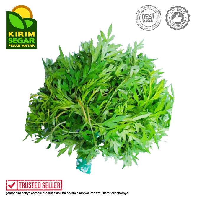 

Kenikir / Daun Kenikir / Sayur Knikir Segar / Perikat