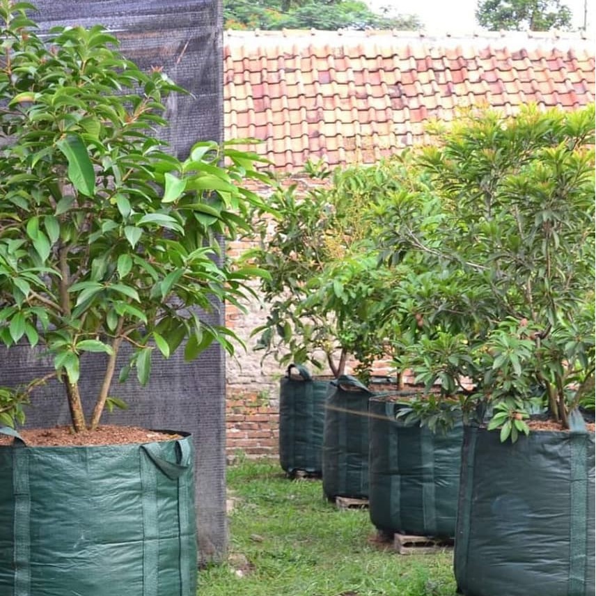 PlanterBag 500 Liter Easy Grow Pot Tanaman Besar Murah Polybag Pohon Buah