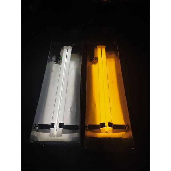 LAMPU_TANNING PLL PHILIPS 80 CM