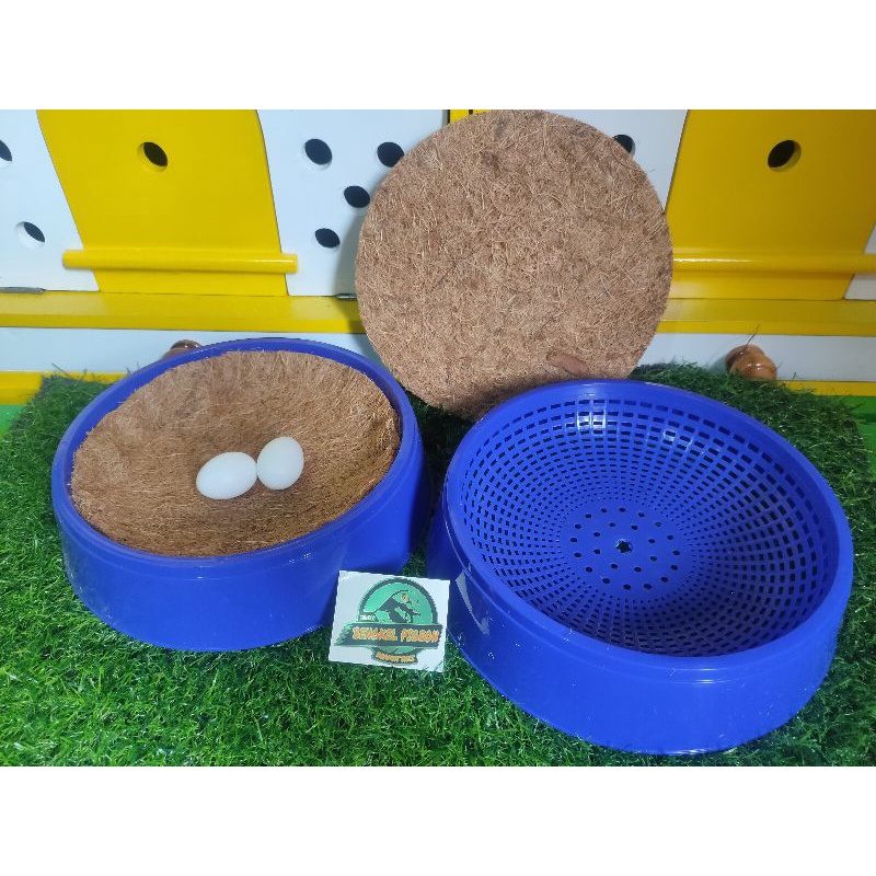 Sarang plastik import mengeram ngeram angkrem burung merpati dara lomba kolongan ternak indukan