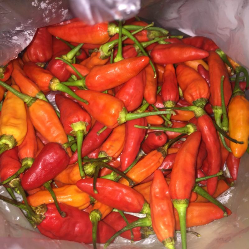 

Cabai rawit merah 500g/cengek merah inul