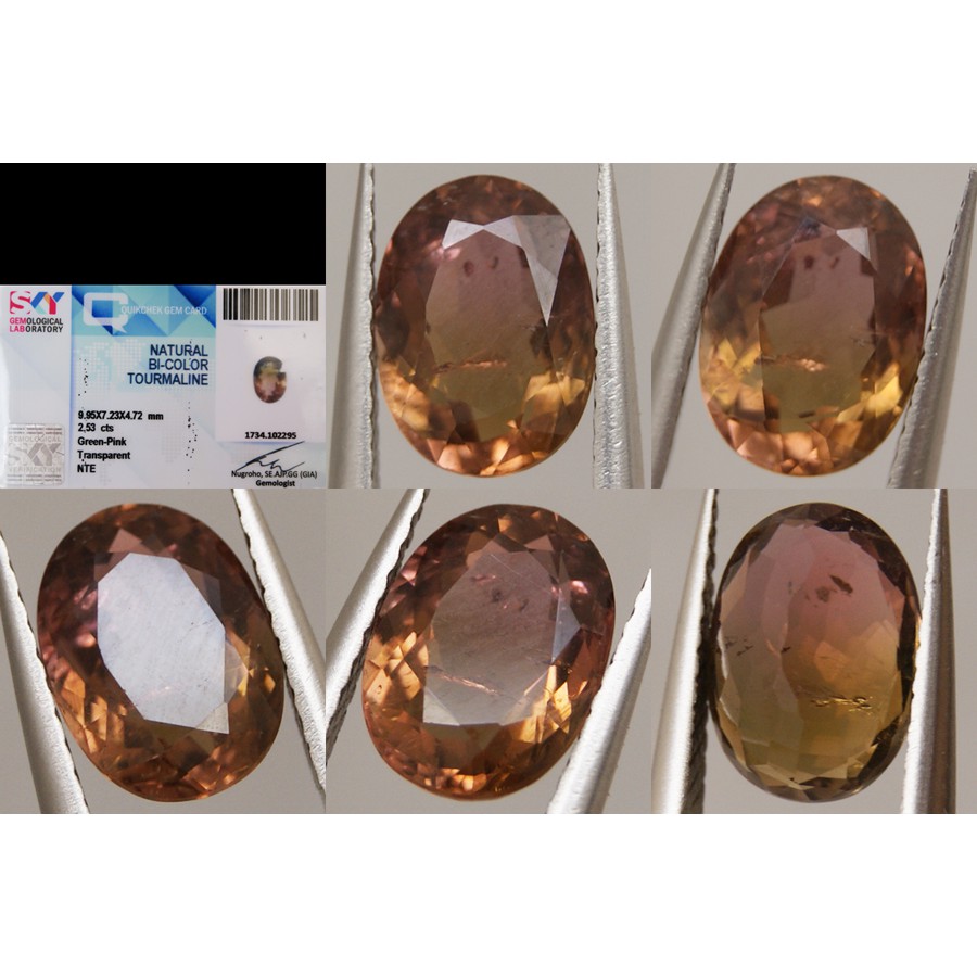 *COLLECTOR* Natural Bicolor Tourmaline 2.53ct + Memo (1076)
