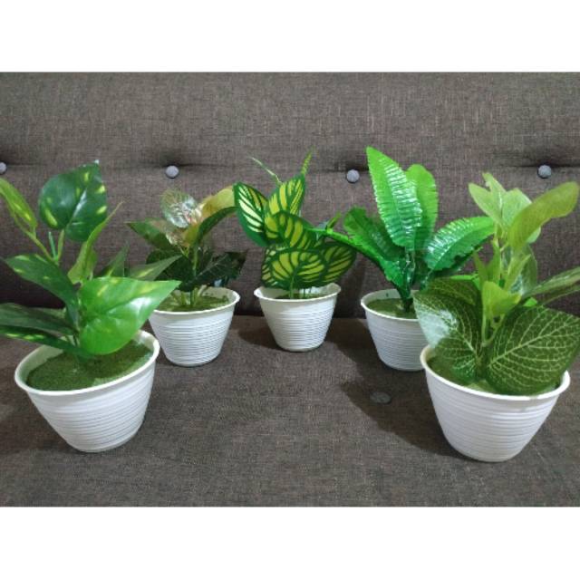 (50rb dapat 3) Tanaman bunga hias plastik artificial daun ...