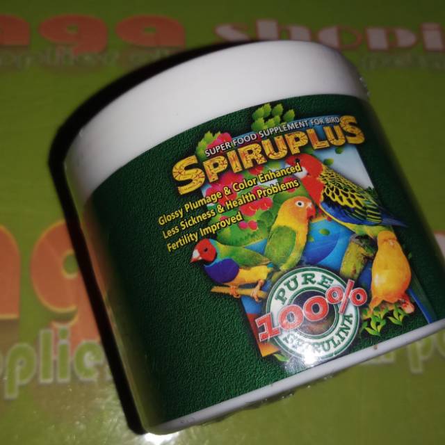 spiruplus vitamin bonus sendok lolo suplemen herbal burung lovebird parrot kenari spirulina bulu