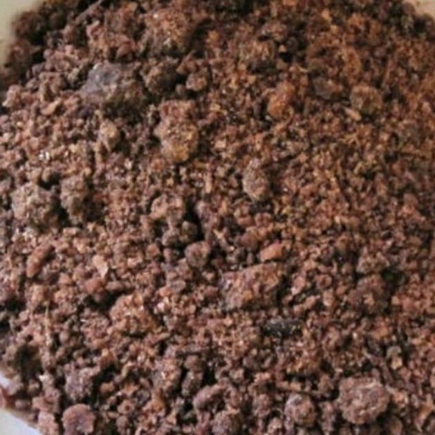 

pliek ue khas aceh kualitas terbaik
