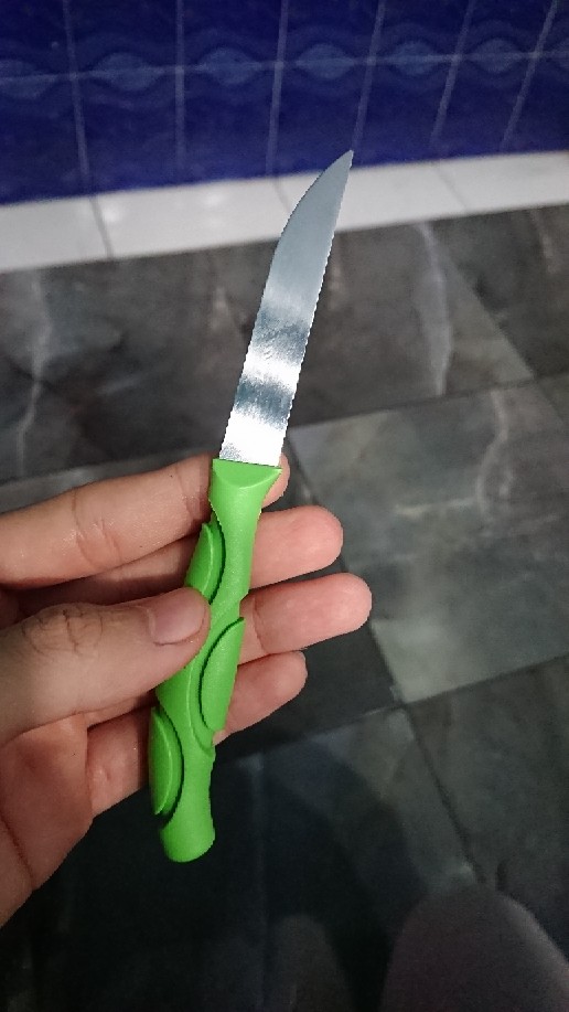 Pisau Stainless Steel Gagang Pelastik Kecil Kupas Buah Sayur Dll