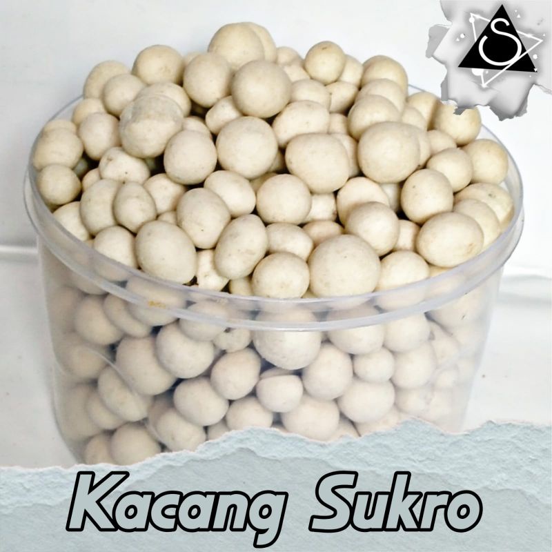 

kacang sukro kiloan