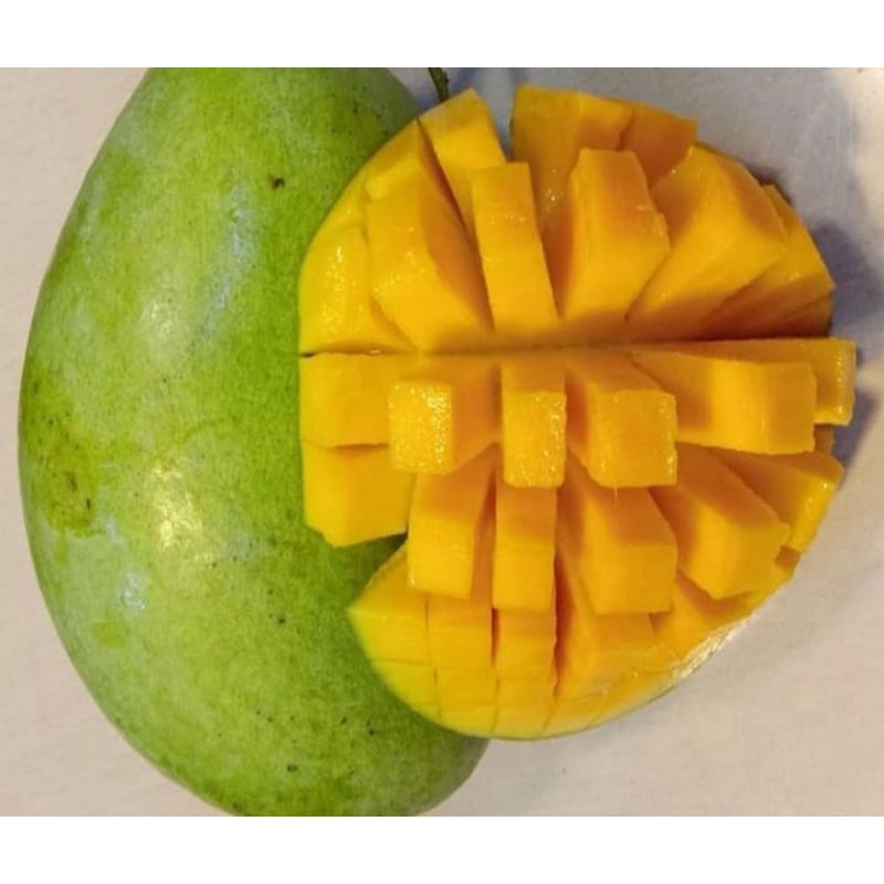 

MANGGA BUDI RAJA FRESH 1KG/BUAH MANGGA BUDI RAJA SEGAR