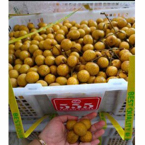 

Kelengkeng 1kg