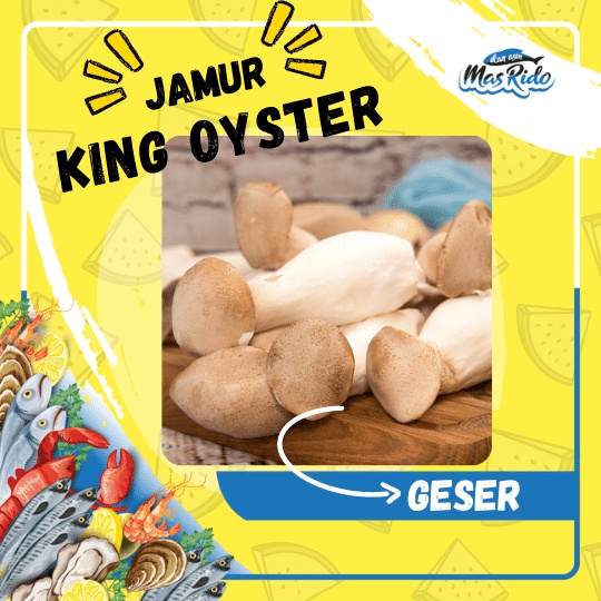 

Jamur King Oyster Aprikot Mushroom Segar Fresh Premium Harga Termurah