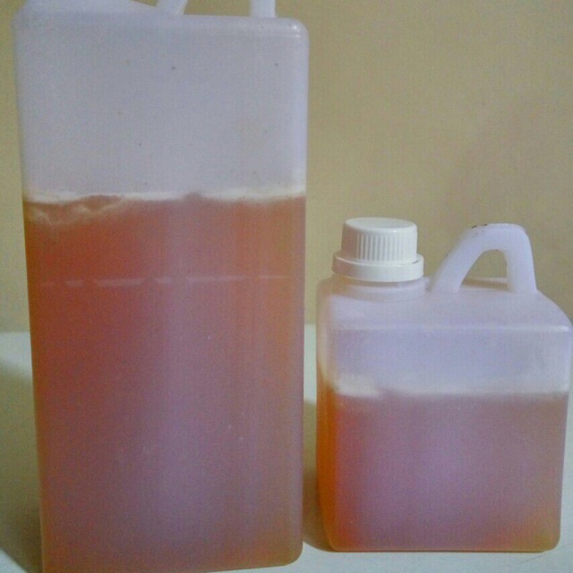 

Madu asli Kaliandra 1kg